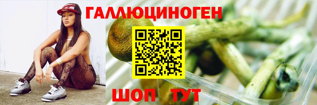 Галлюциногенные грибы мухоморы  Псилоцибиновые грибы прущие грибы  купить наркоту  Вход с VPN  Торжок 